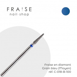 fraise C 018 B 100 fraise nail shop