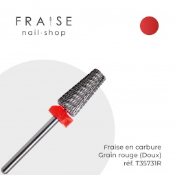 fraise T35731R fraise nail shop