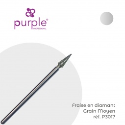 fraise diamant P3017 purple fraise nail shop 2