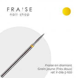 fraise F016J100 fraise nail shop