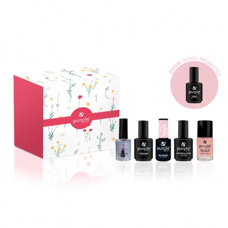 kit gel polish fraise nail shop 2 kit gel polish fraise nail shop 2